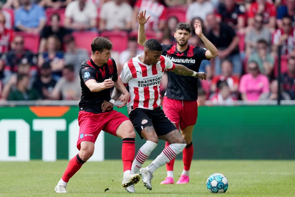 广泛使用 广泛使用