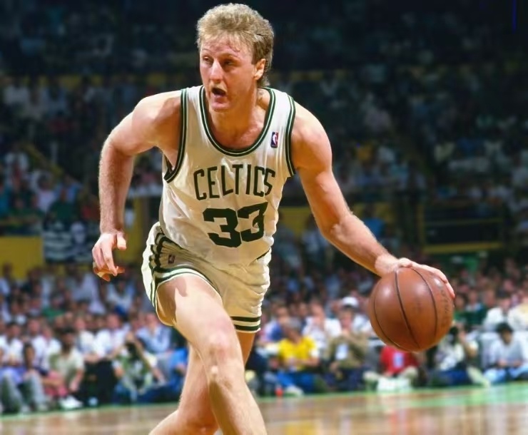 体的防守体 体的防守体