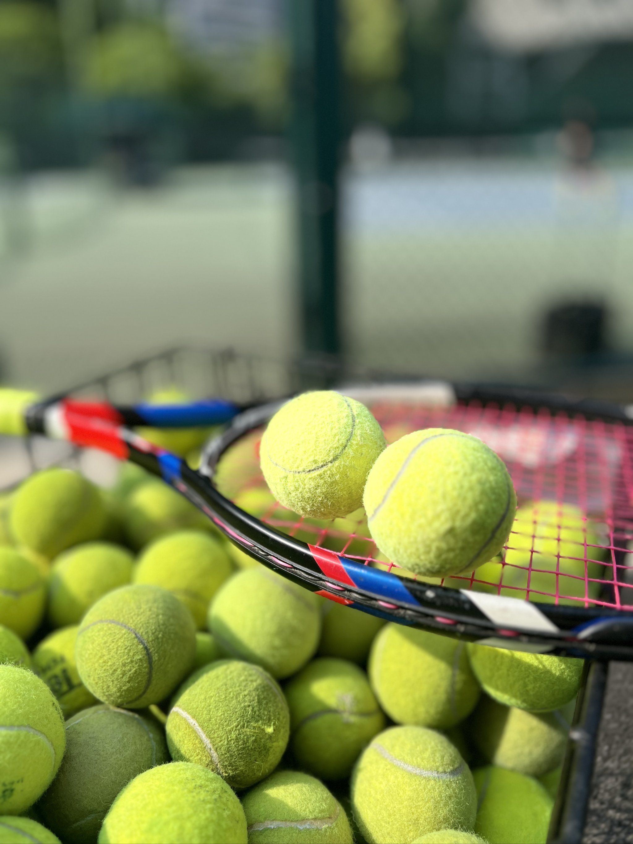 赛被放大 赛被放大