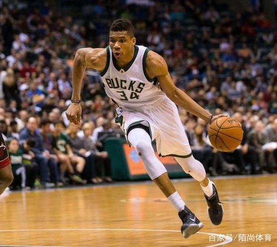 追踪动植物 追踪动植物